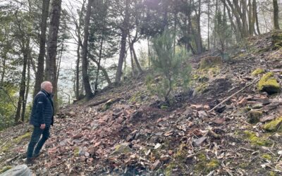 Planting and rebuilding for another 200 years of enjoyment and inspiration